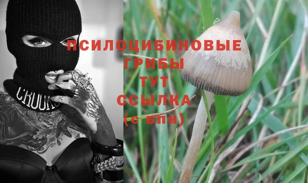 кокаин колумбия Алзамай